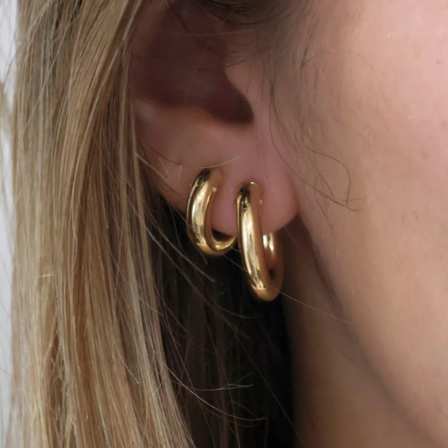 Rounded Oval Earrings