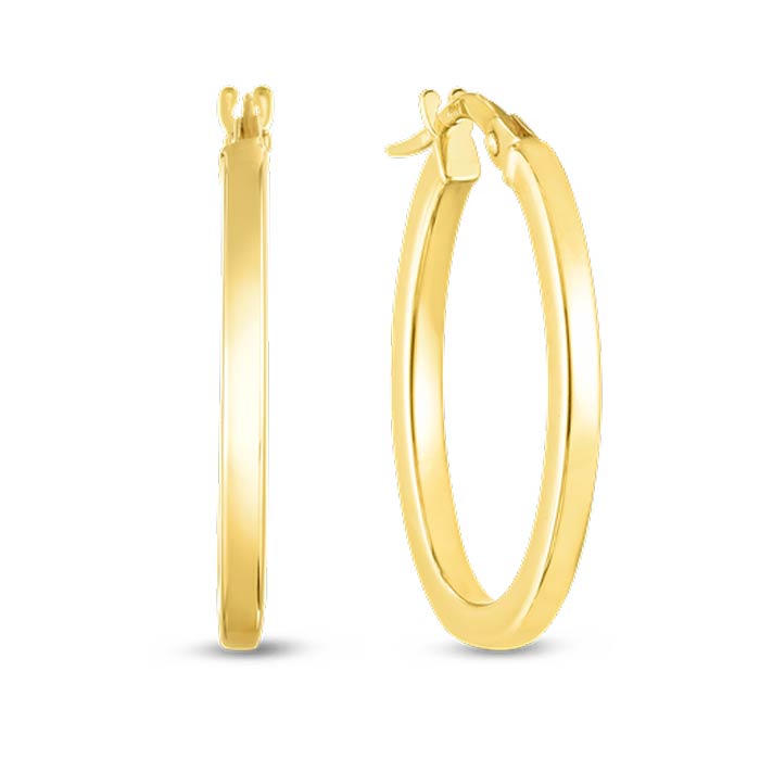 Oval Hoop Earrings
