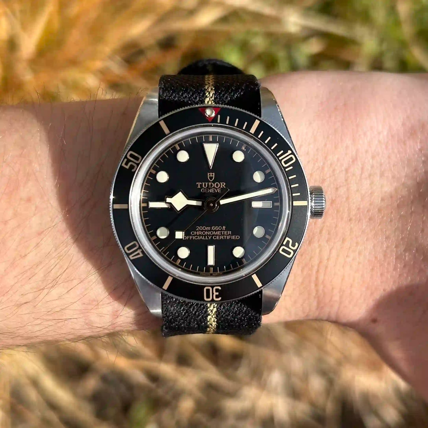 Tudor Black Bay 58