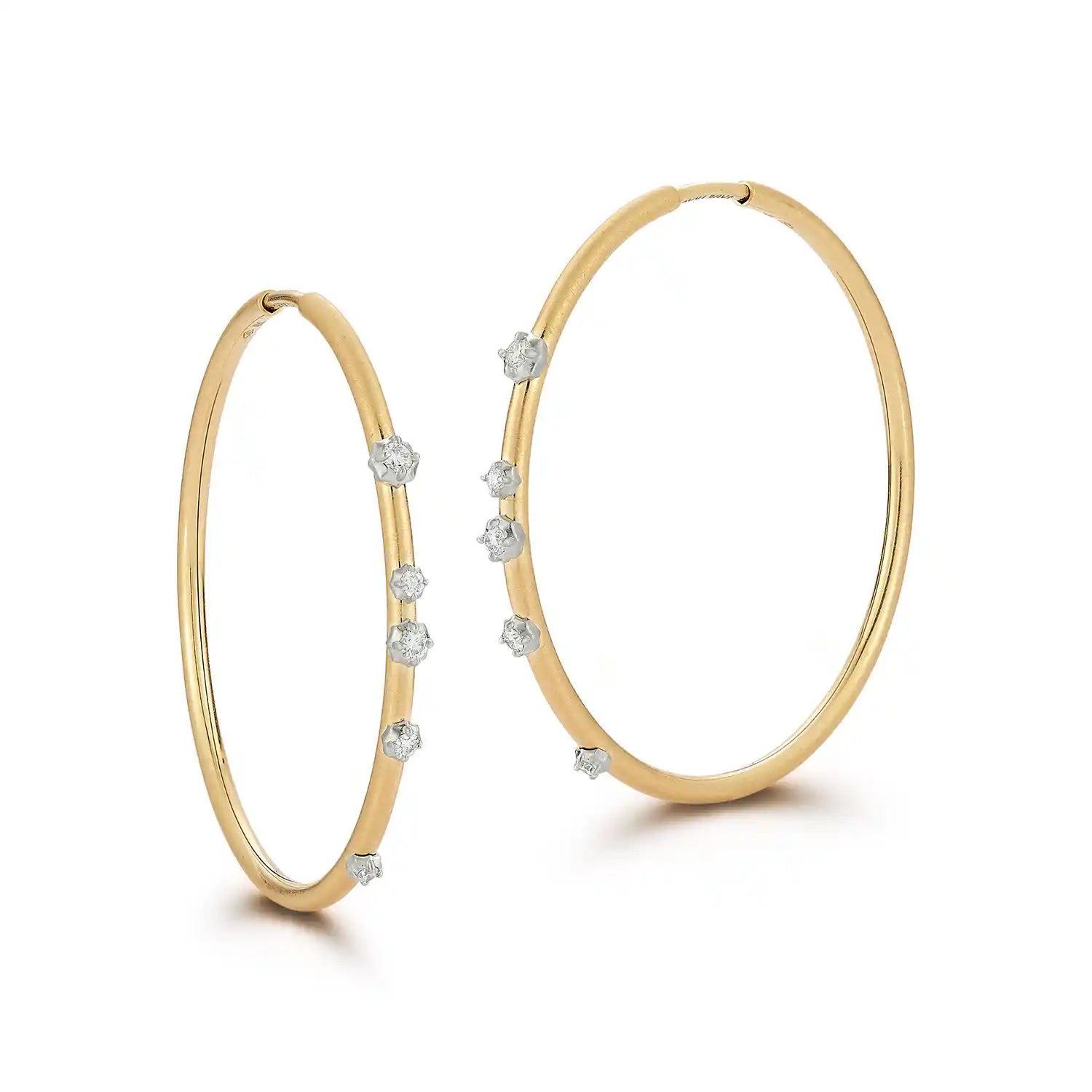 Constellation Two Tone Hoops 