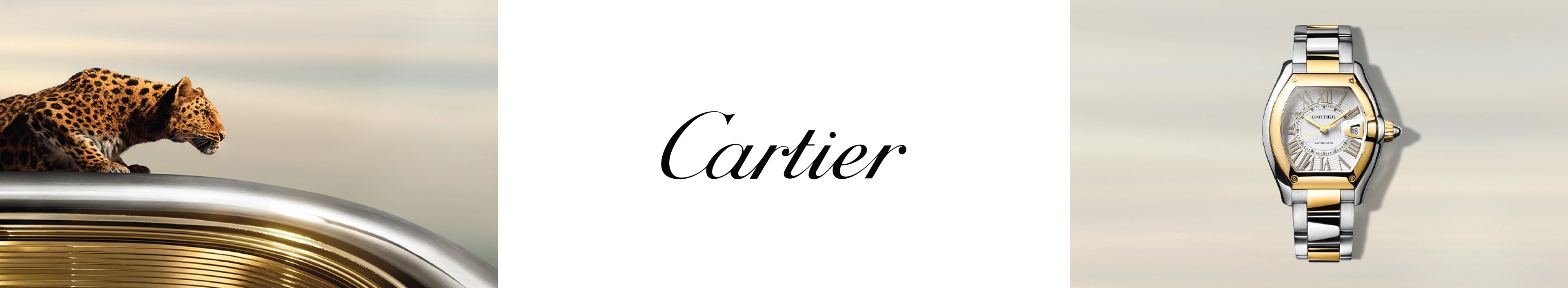 image banner