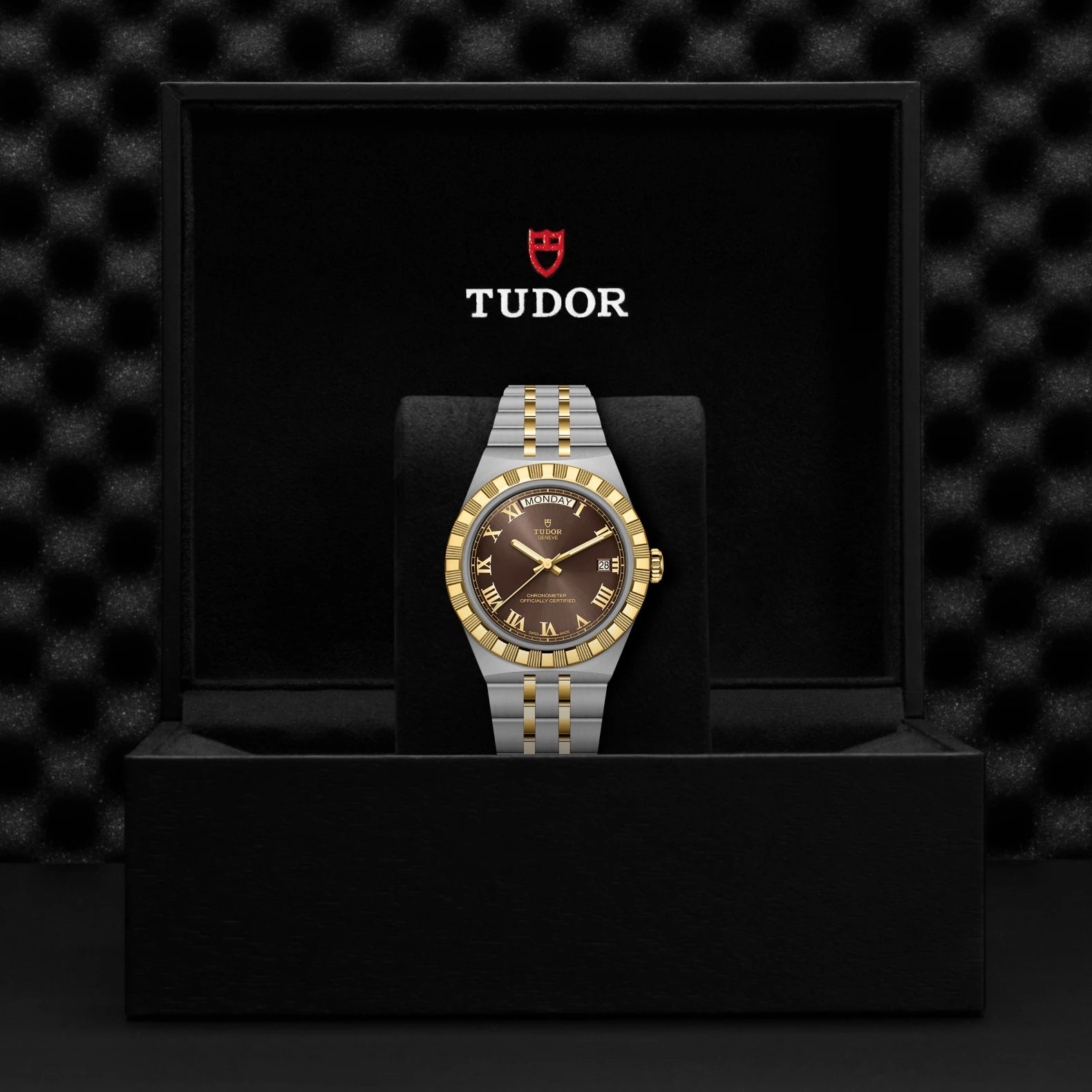 TUDOR Royal - Walters & Hogsett