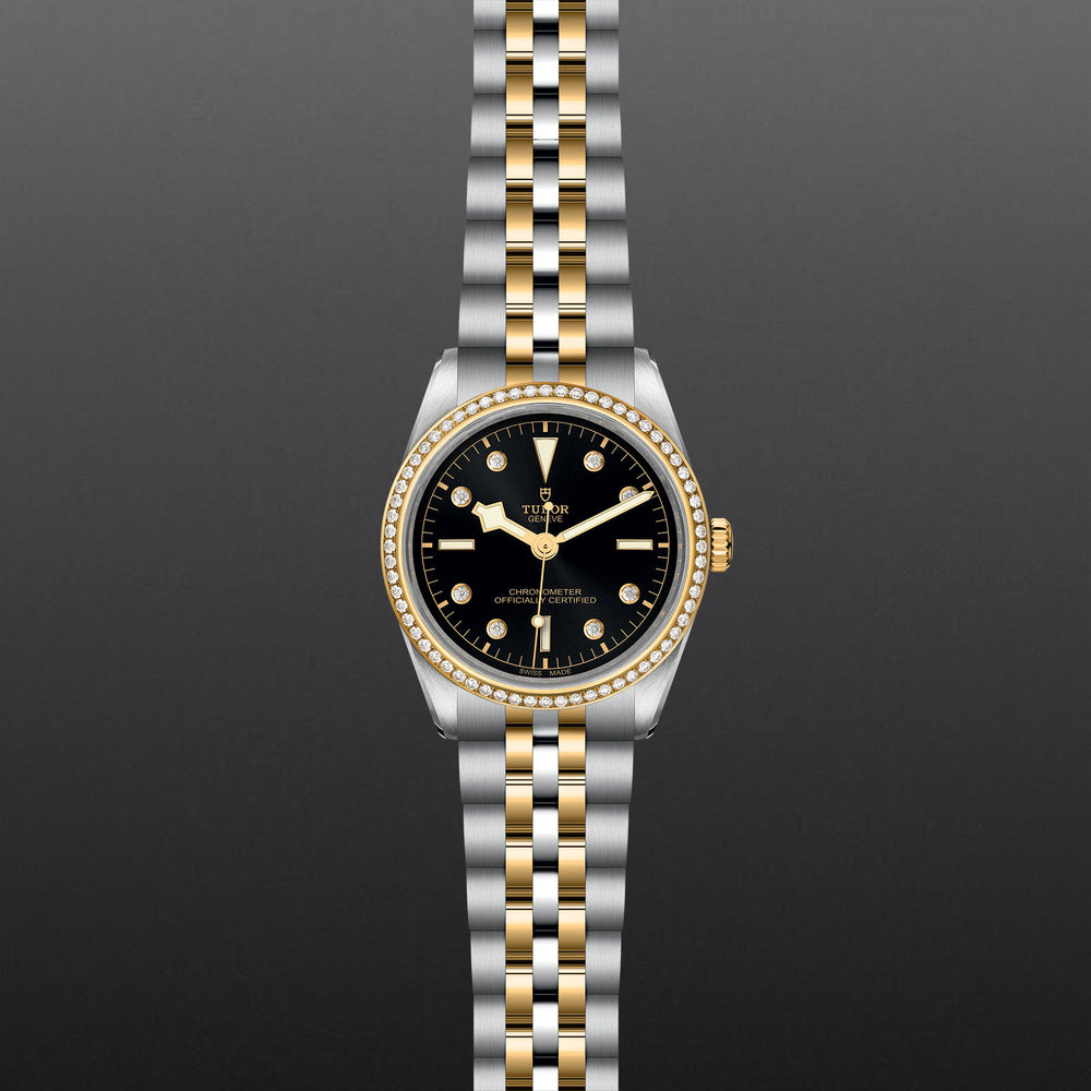 TUDOR Black Bay 36 S&G