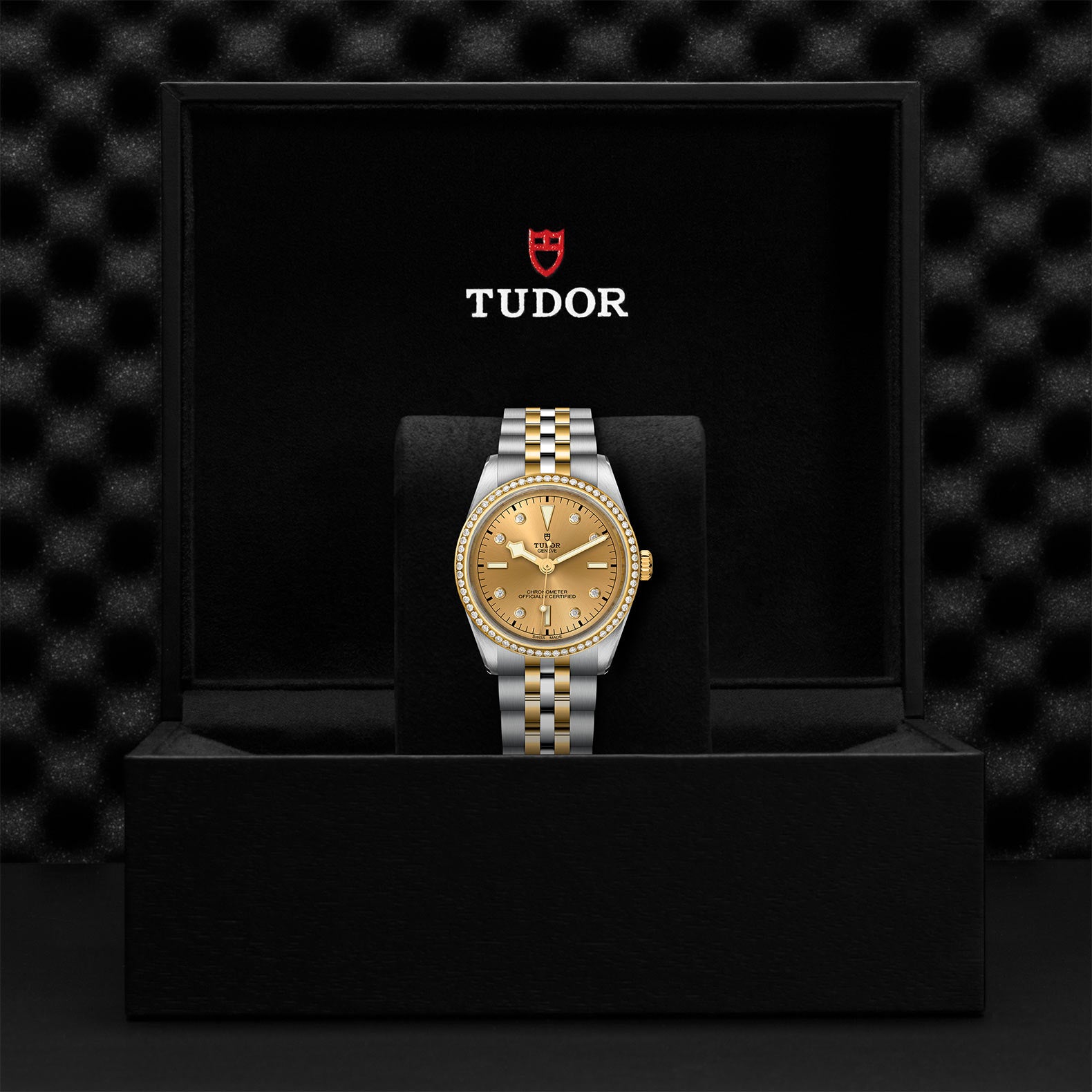 TUDOR Black Bay 36 S&G