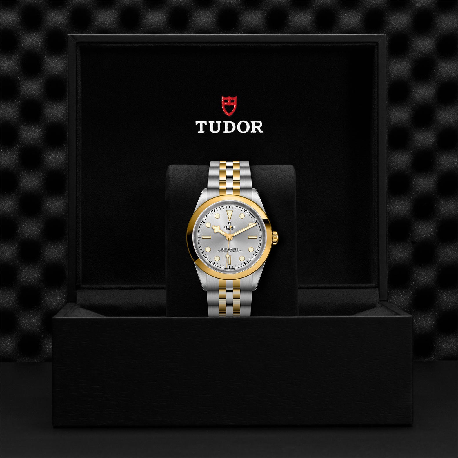 TUDOR Black Bay 41 S&G