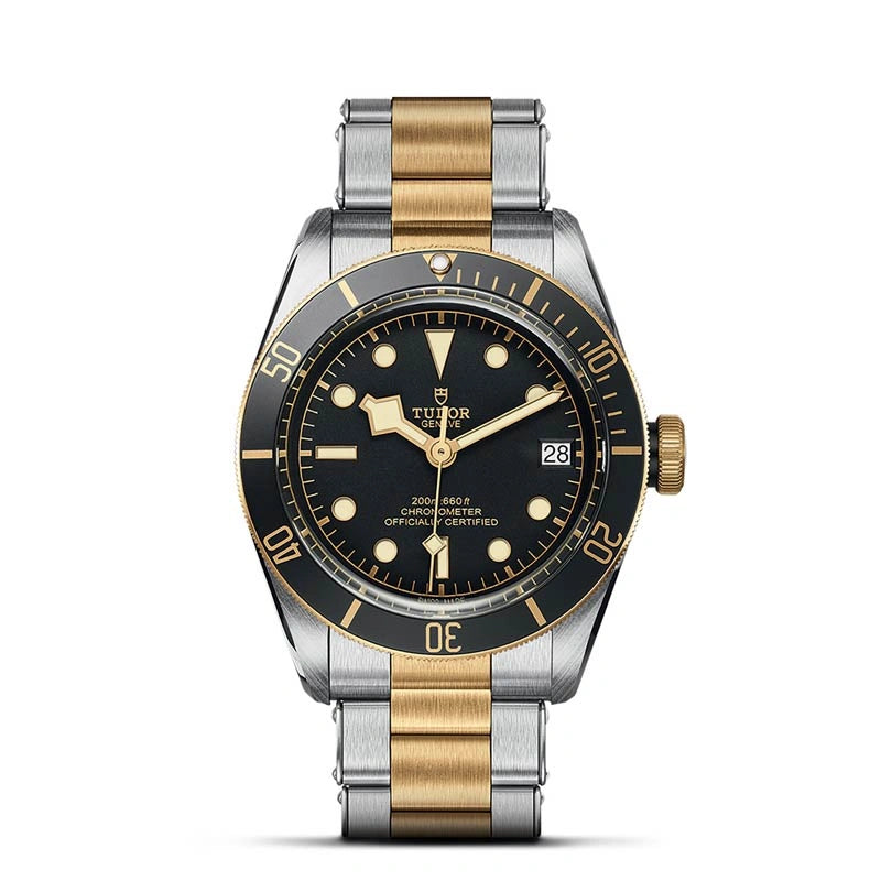 Tudor Black Bay S&G