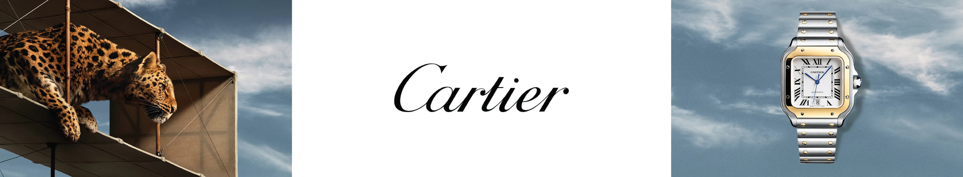 image banner