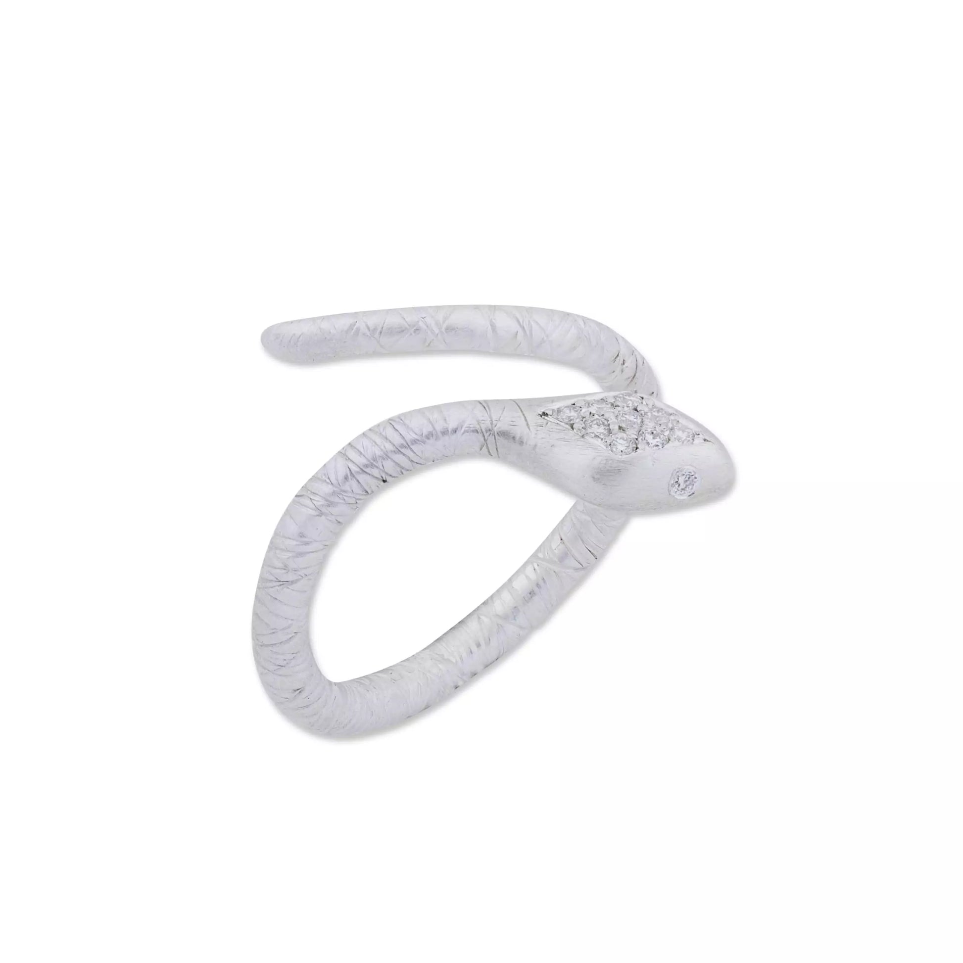 Silver Snake Ring