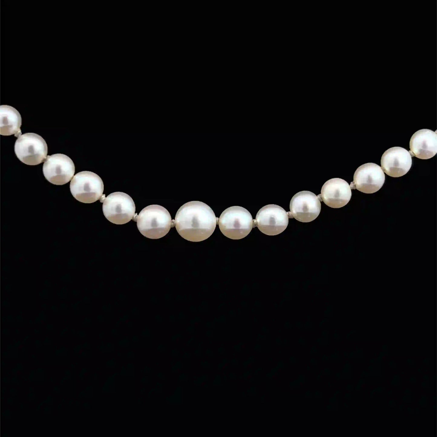 Pearl Necklace 