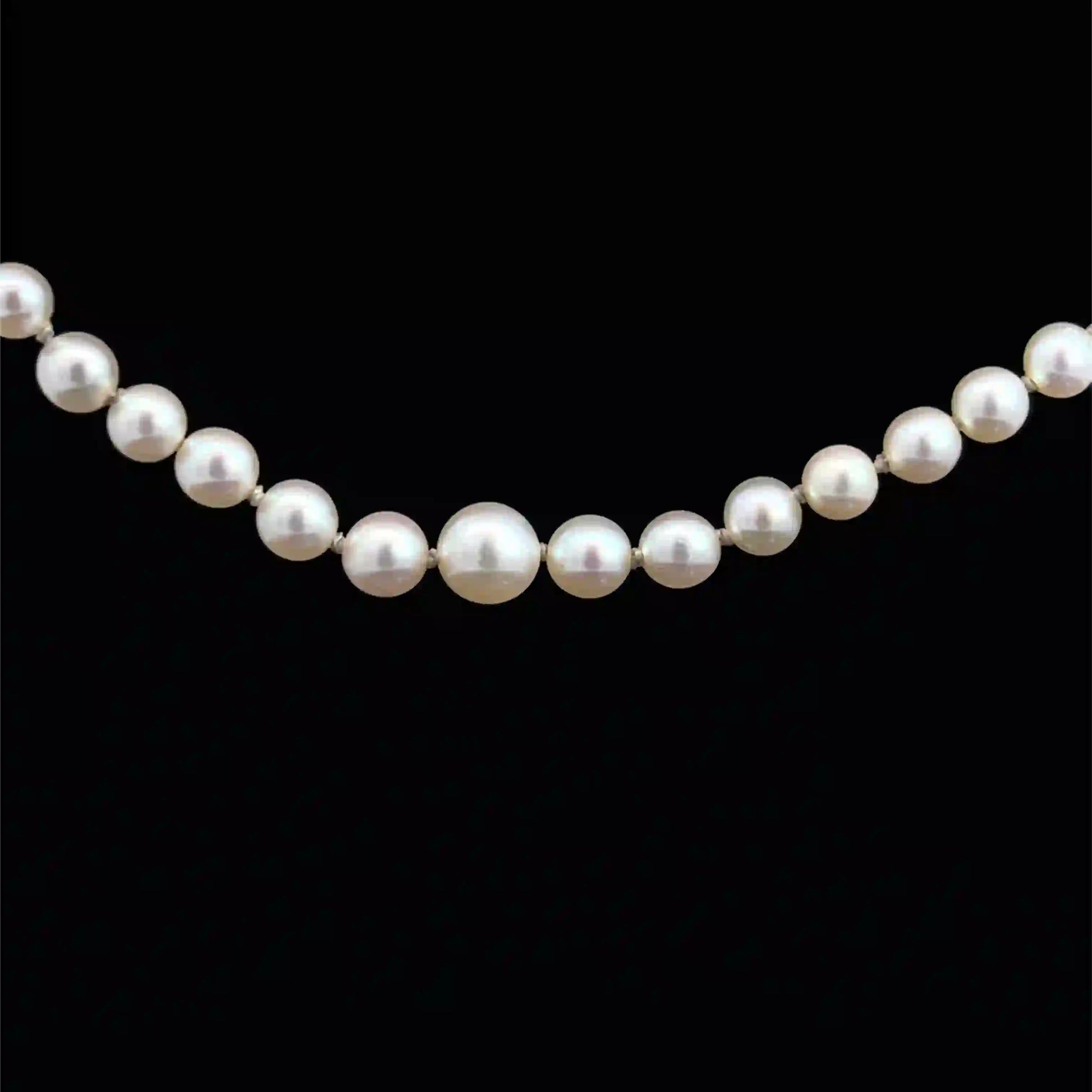 Pearl Necklace 
