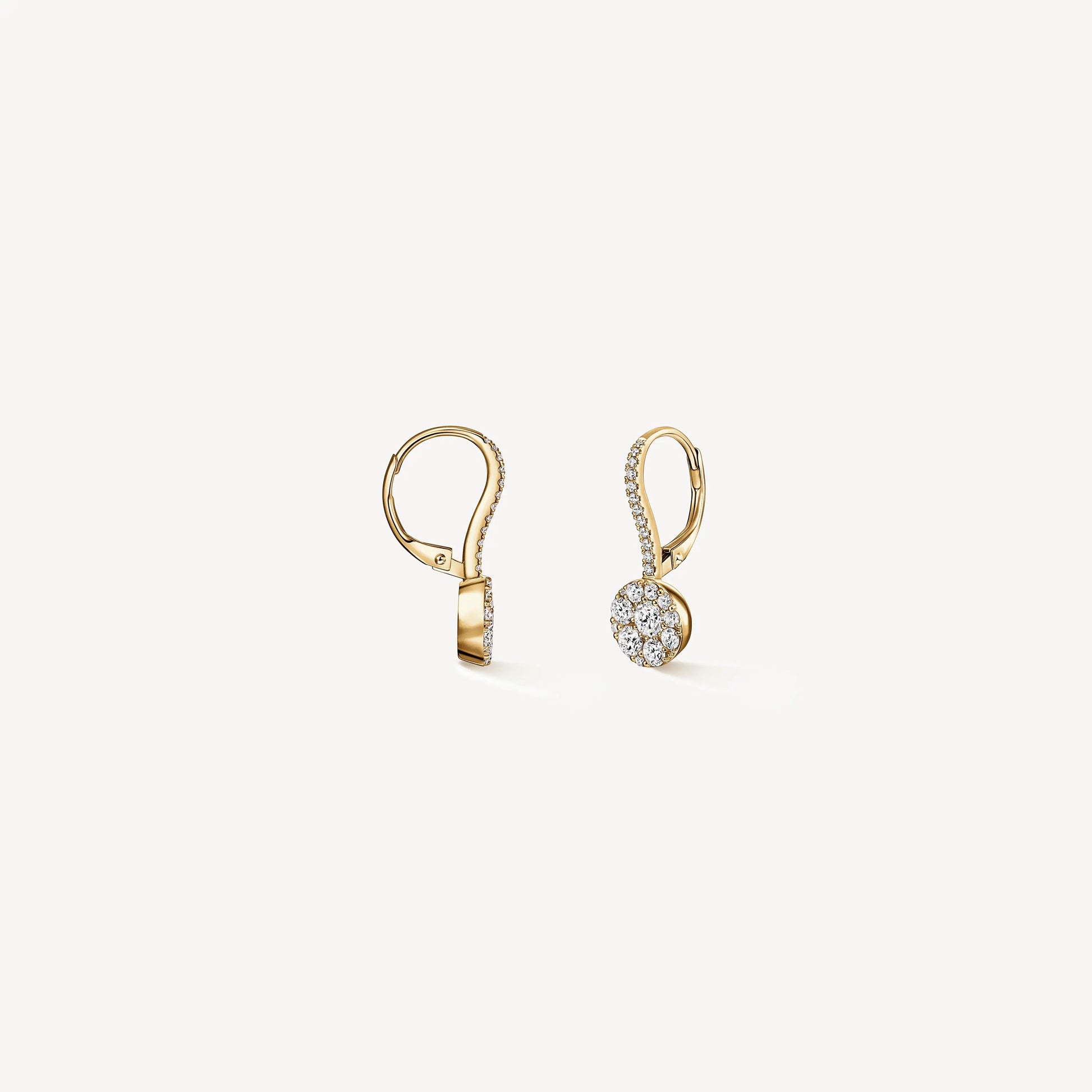 Tessa Leverback Earrings