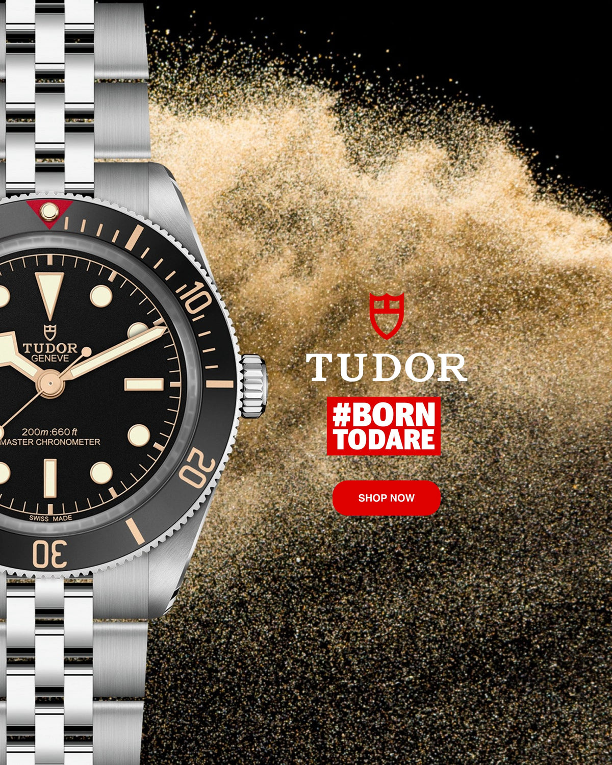 Tudor Banner