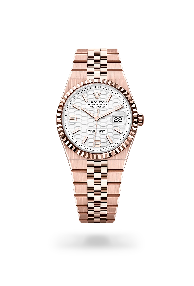 Rolex Land-Dweller in 18 kt Everose gold, M127235-0001 - Walters & Hogsett