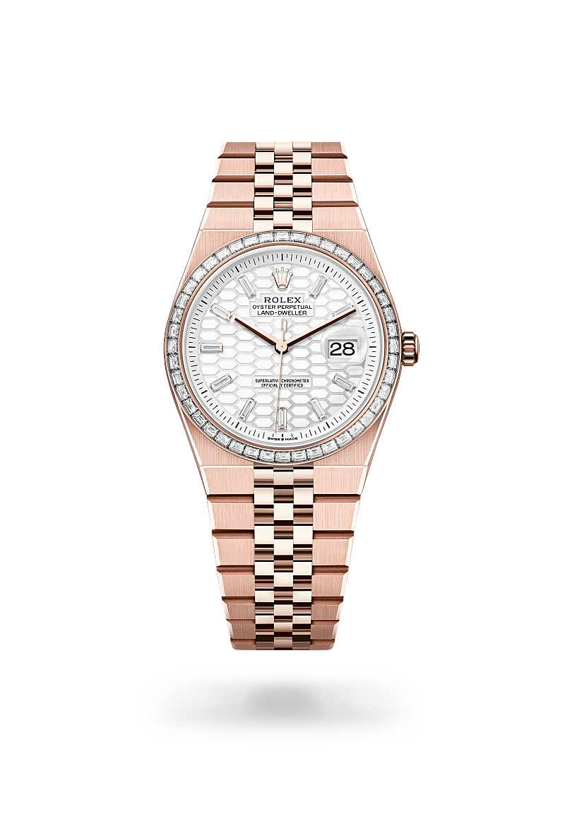 Rolex Land-Dweller in 18 kt Everose gold, M127285TBR-0002 - Walters & Hogsett