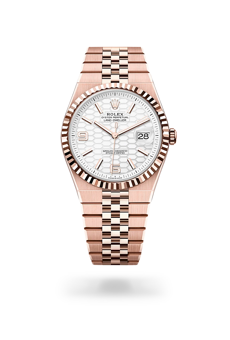 Rolex Land-Dweller in 18 kt Everose gold, M127335-0001 - Walters & Hogsett