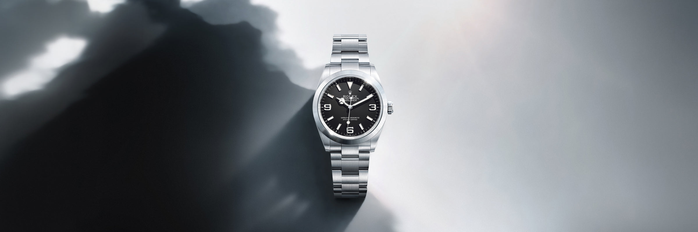 Rolex Explorer in Yellow Rolesor - combination of Oystersteel and yellow gold, M124273-0001 - Walters & Hogsett