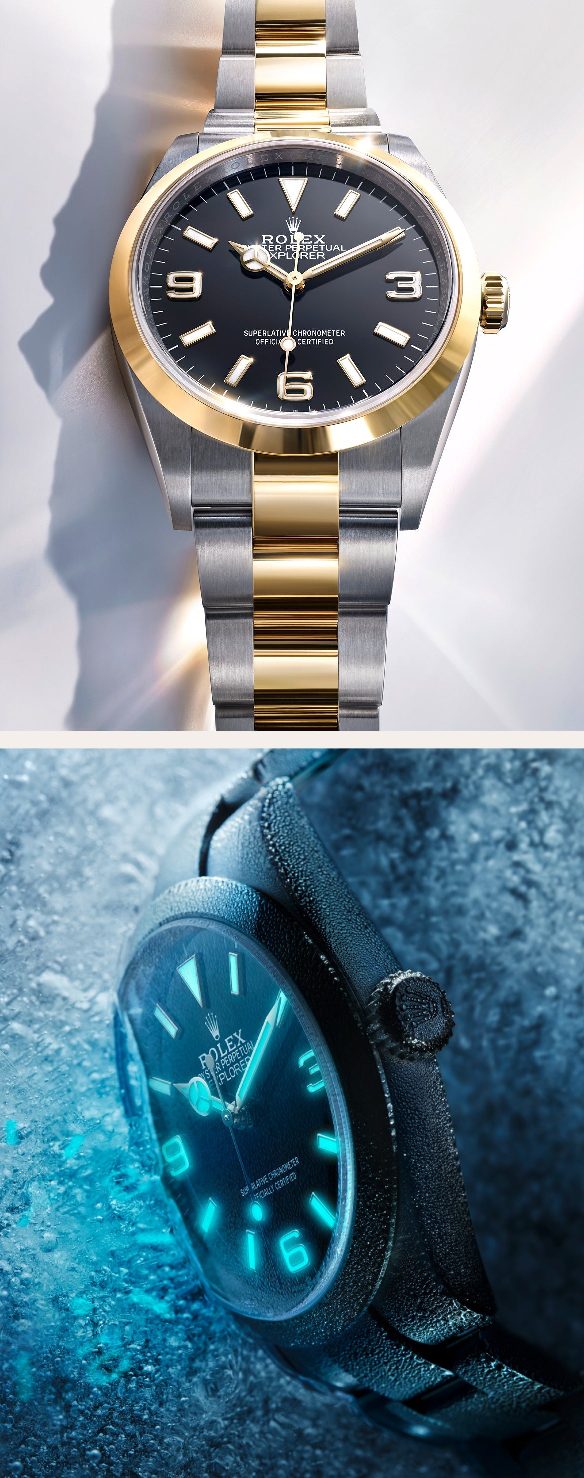 Rolex Explorer watches - Walters & Hogsett