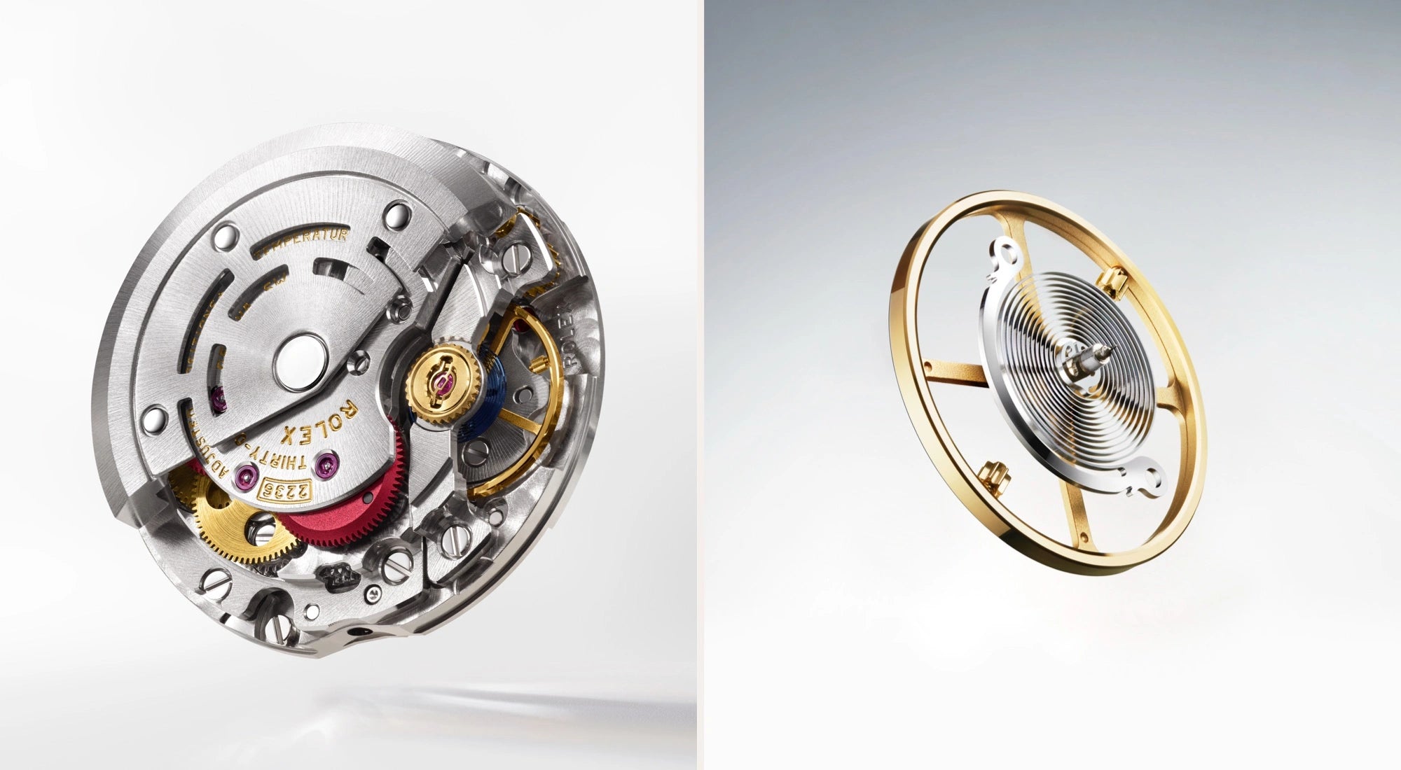 Rolex Lady-Datejust watches - Walters & Hogsett