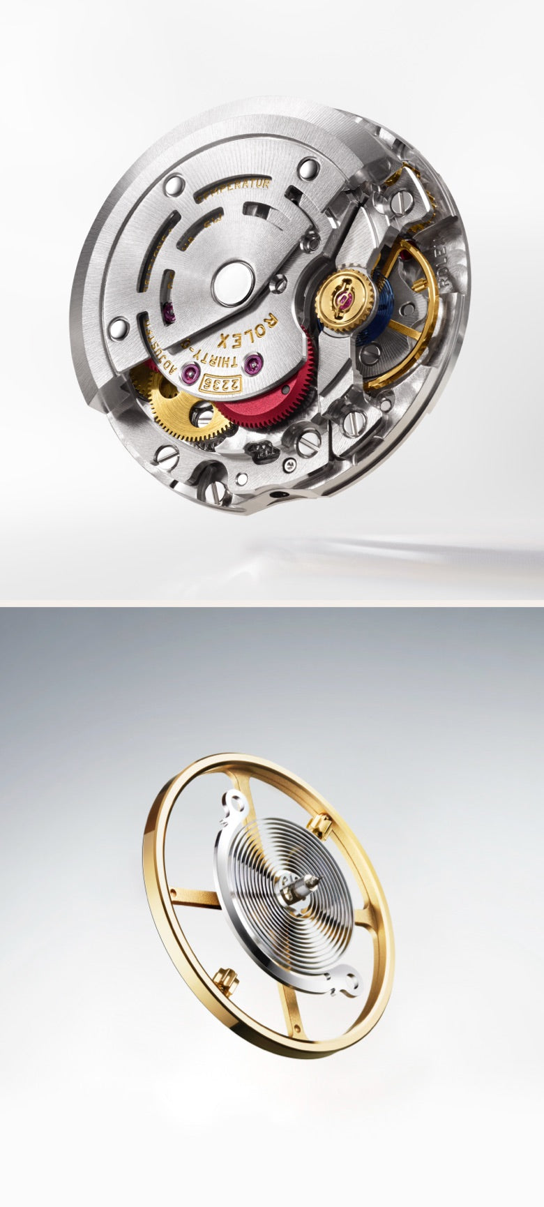 Rolex Lady-Datejust watches - Walters & Hogsett