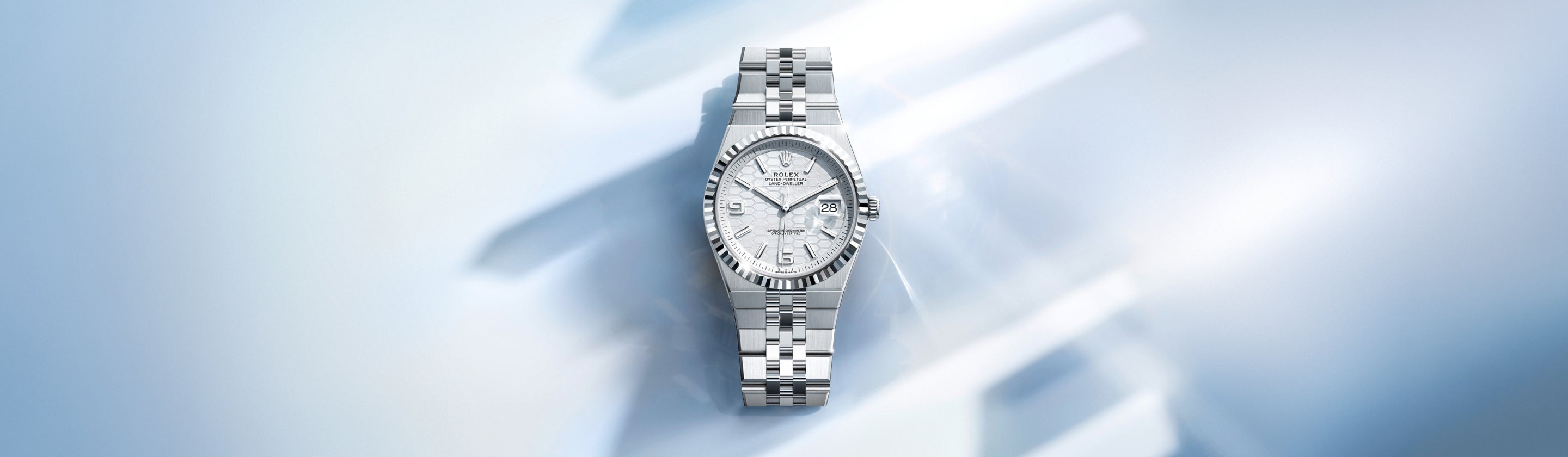 Rolex Land-Dweller watches - Walters & Hogsett