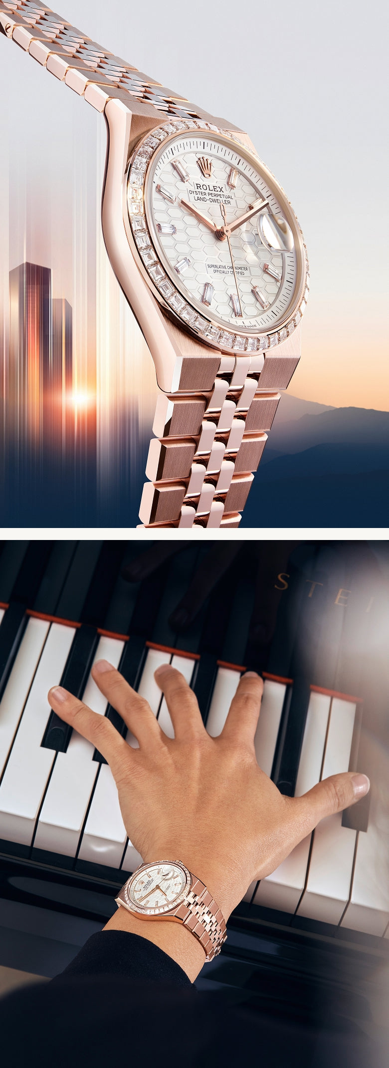 Rolex new Land-Dwellerex watches 2025 - Walters & Hogsett