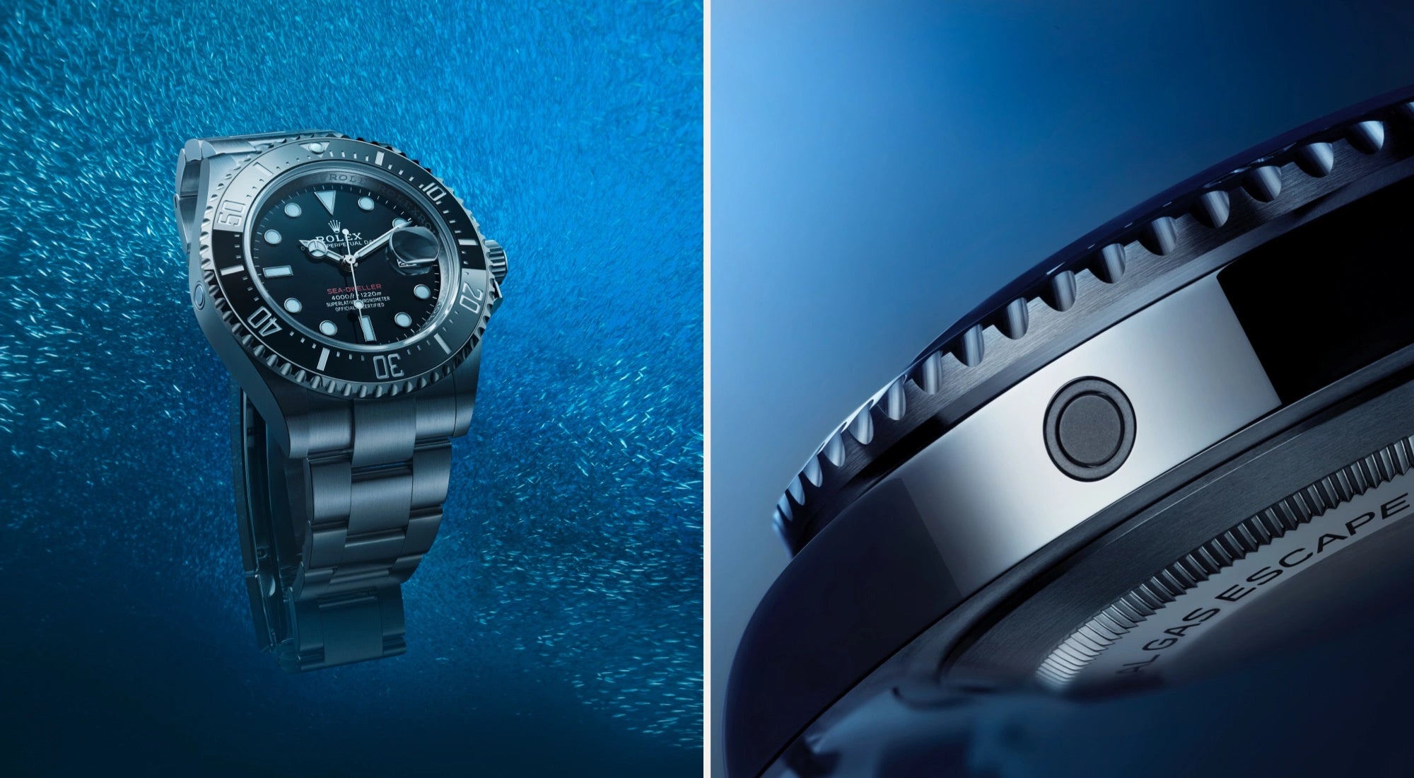 Rolex Sea-Dweller watches - Walters & Hogsett