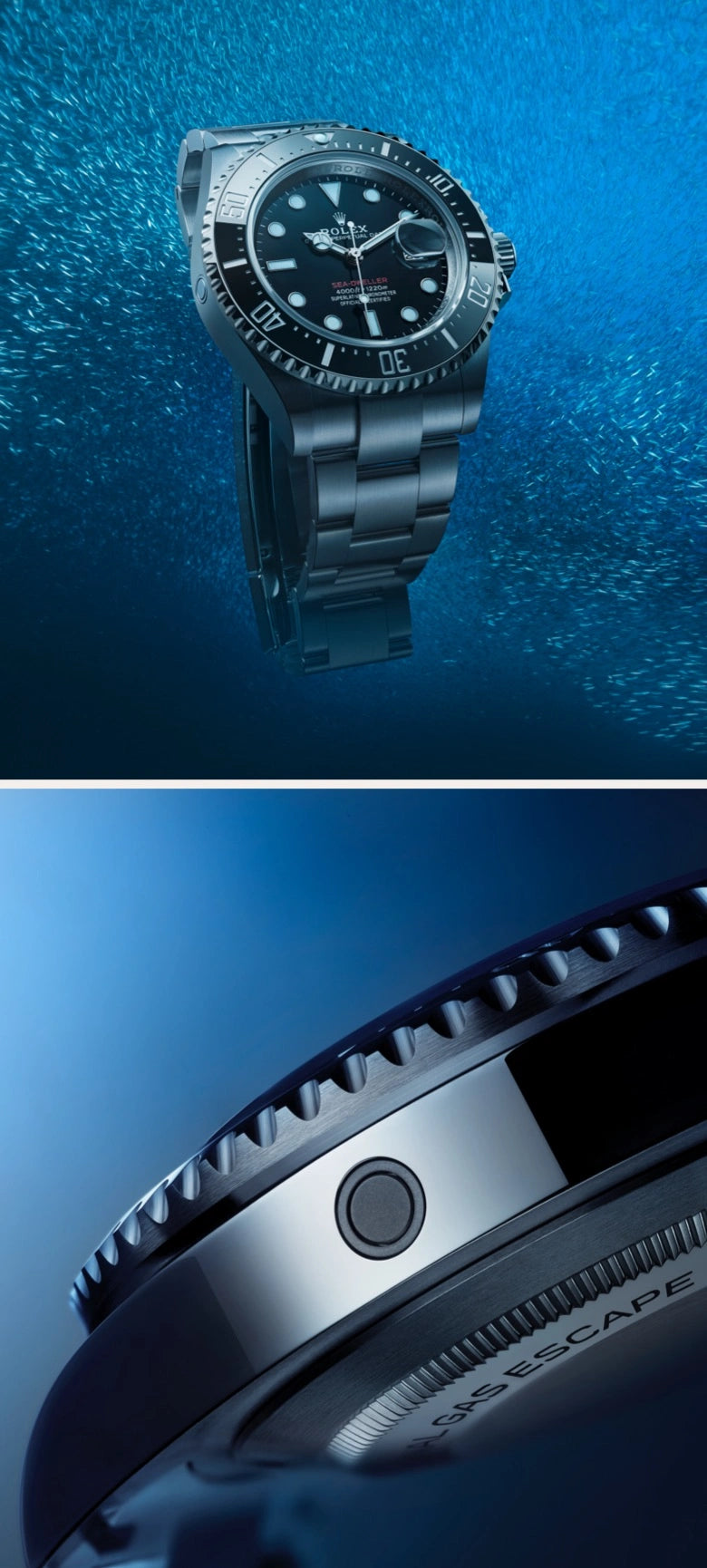 Rolex Sea-Dweller watches - Walters & Hogsett