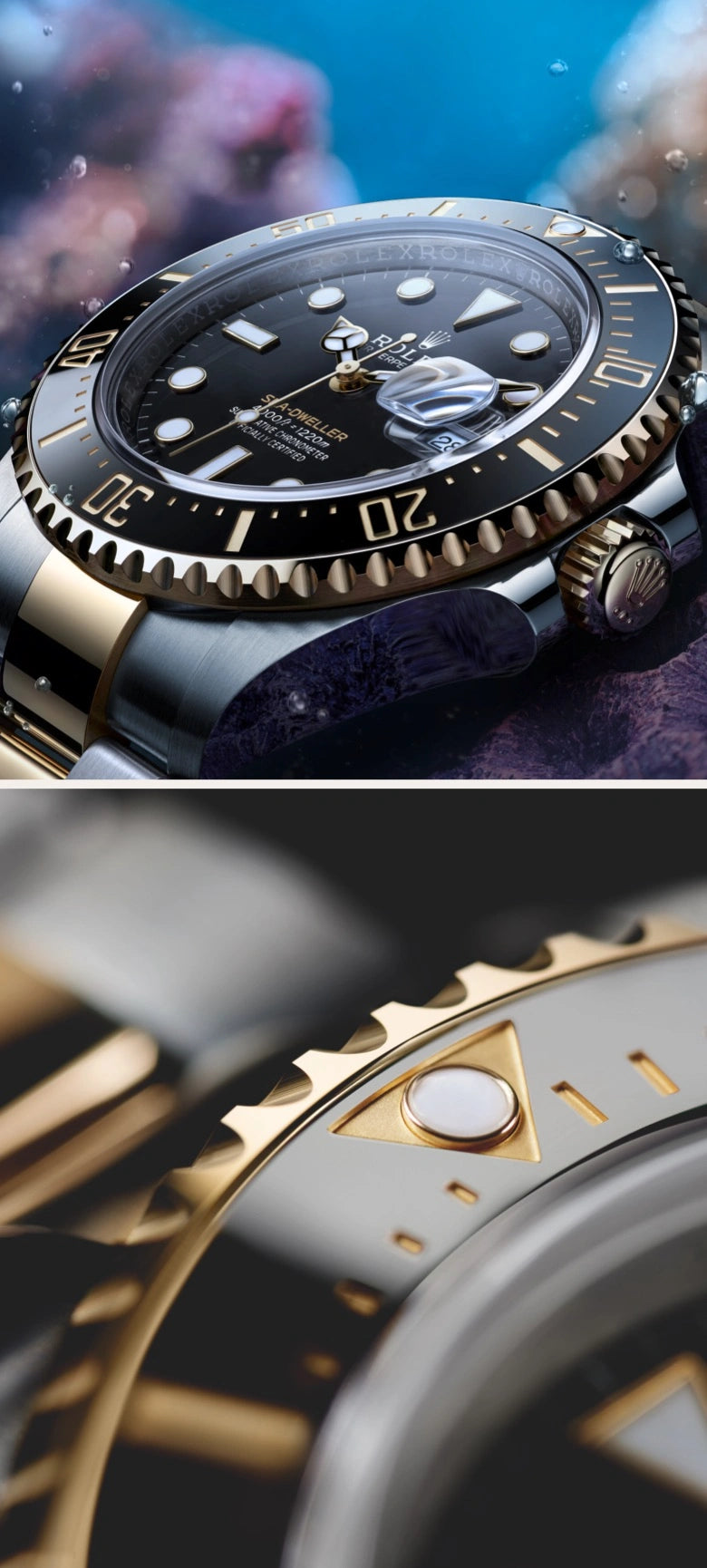 Rolex Sea-Dweller watches - Walters & Hogsett