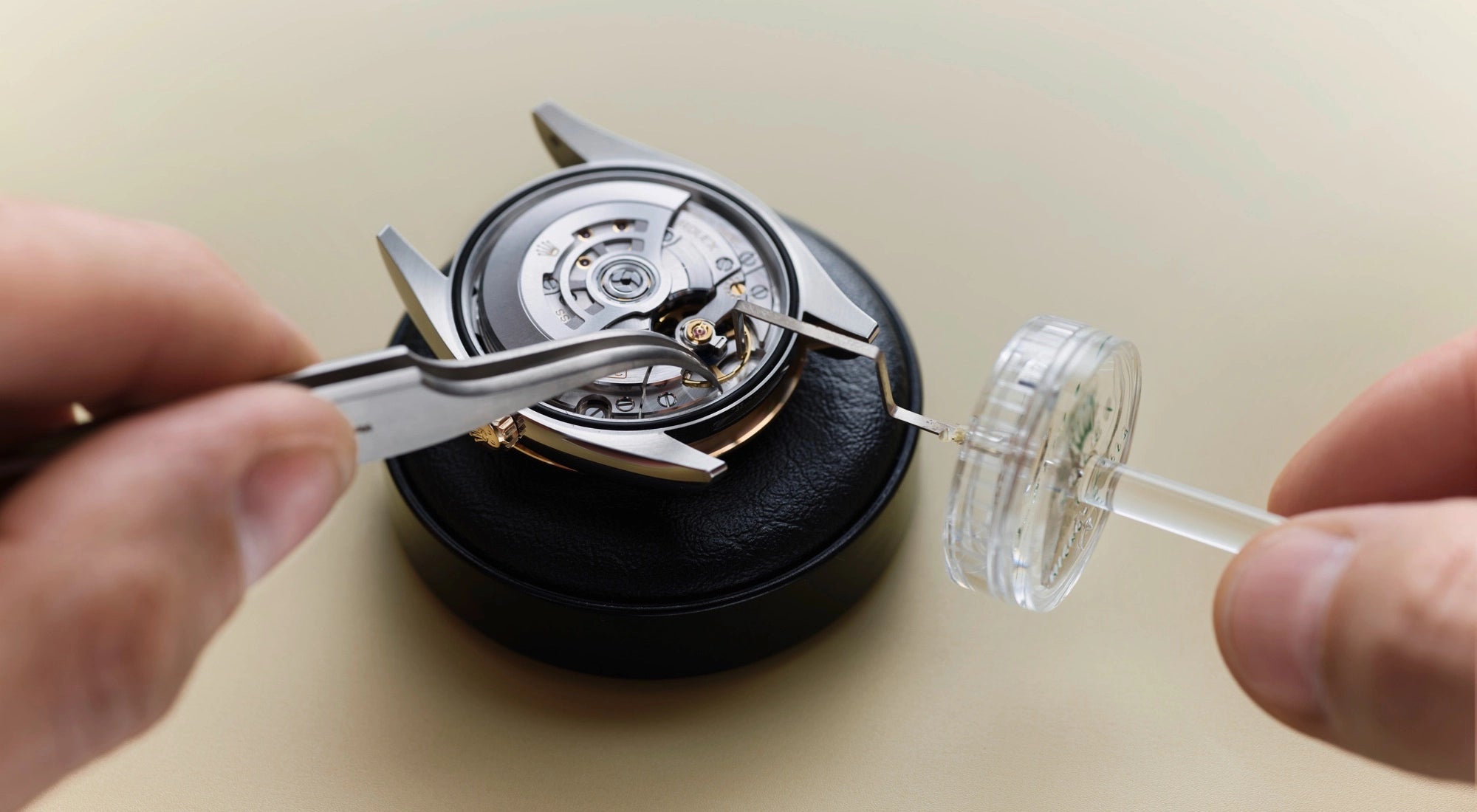 Official Rolex jeweler in Boulder - Walters & Hogsett