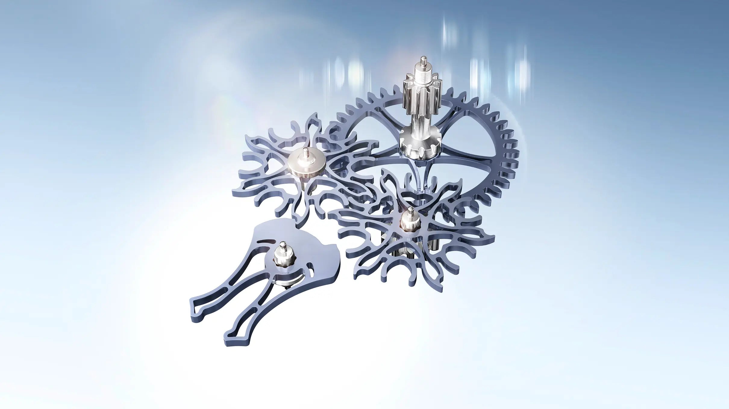 Rolex watches - Walters & Hogsett