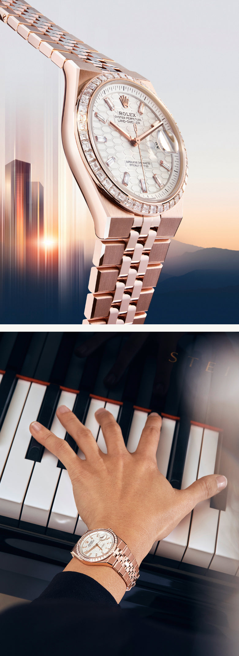 Rolex Land-Dweller watches - Walters & Hogsett