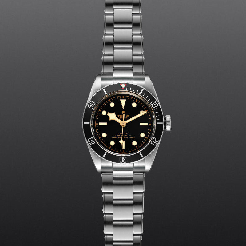 41mm, tudor, watch, black bay, black dial, black bezel, steel case, steel bracelet