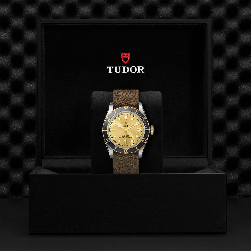 41mm, tudor, watch, black bay, brown fabric straps, champagne dial, date