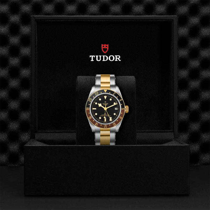 on model, tudor, black bay, steel and yellow gold